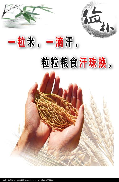 仿制西南地址证明